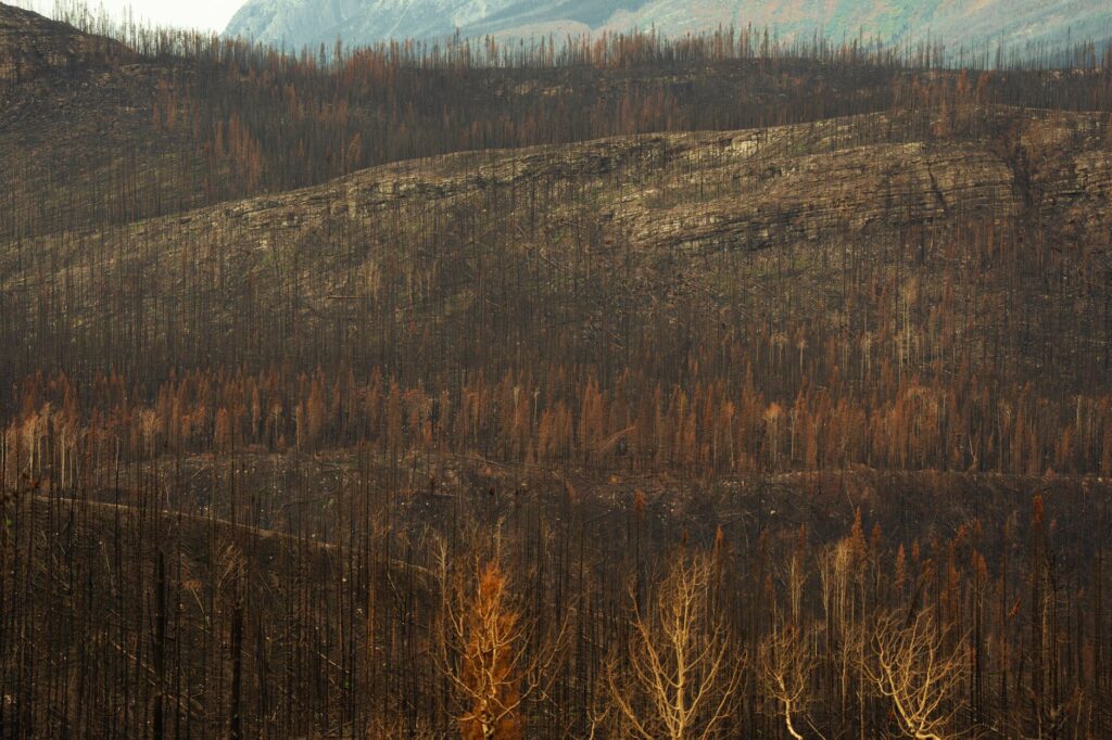 Vysoké Tatry v plameňoch: Hasiči zasahujú pod Popradským plesom